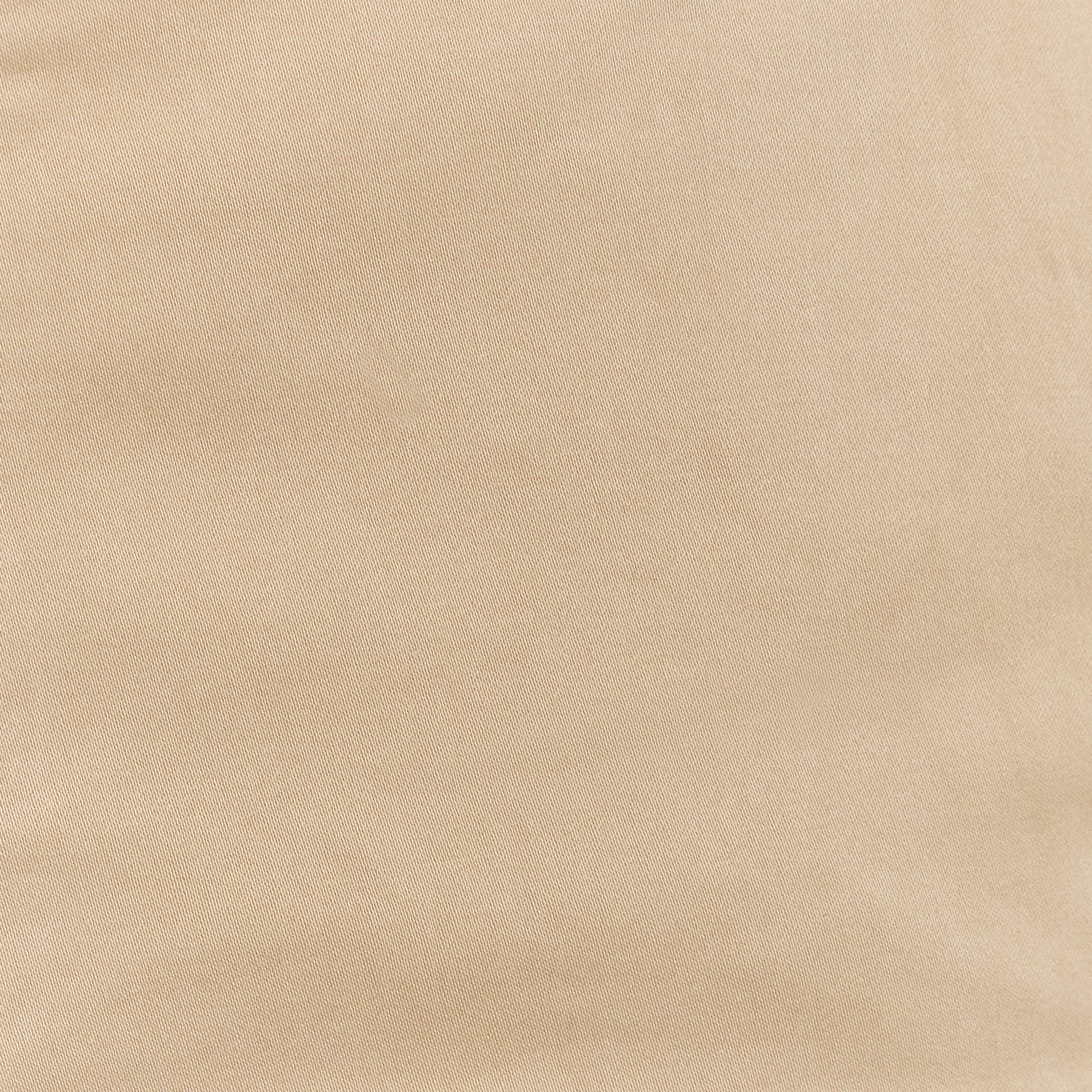 Stone Darwin Stretch Chino Shorts