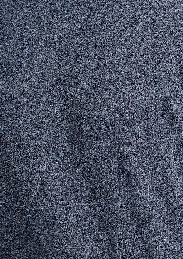 Blue Anthony Henley Tee