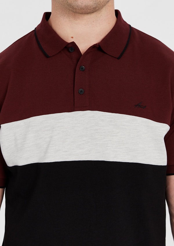 Brown David Colour Block Polo Shirt