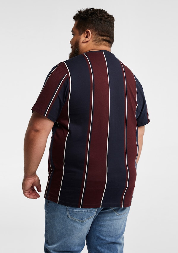 Kirkley Crew Neck Striped T Shirt