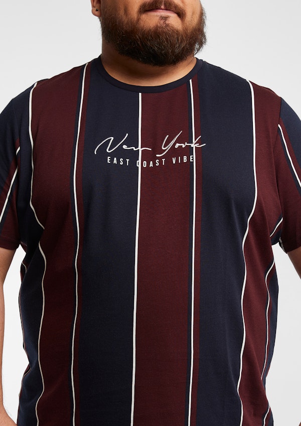 Kirkley Crew Neck Striped T Shirt