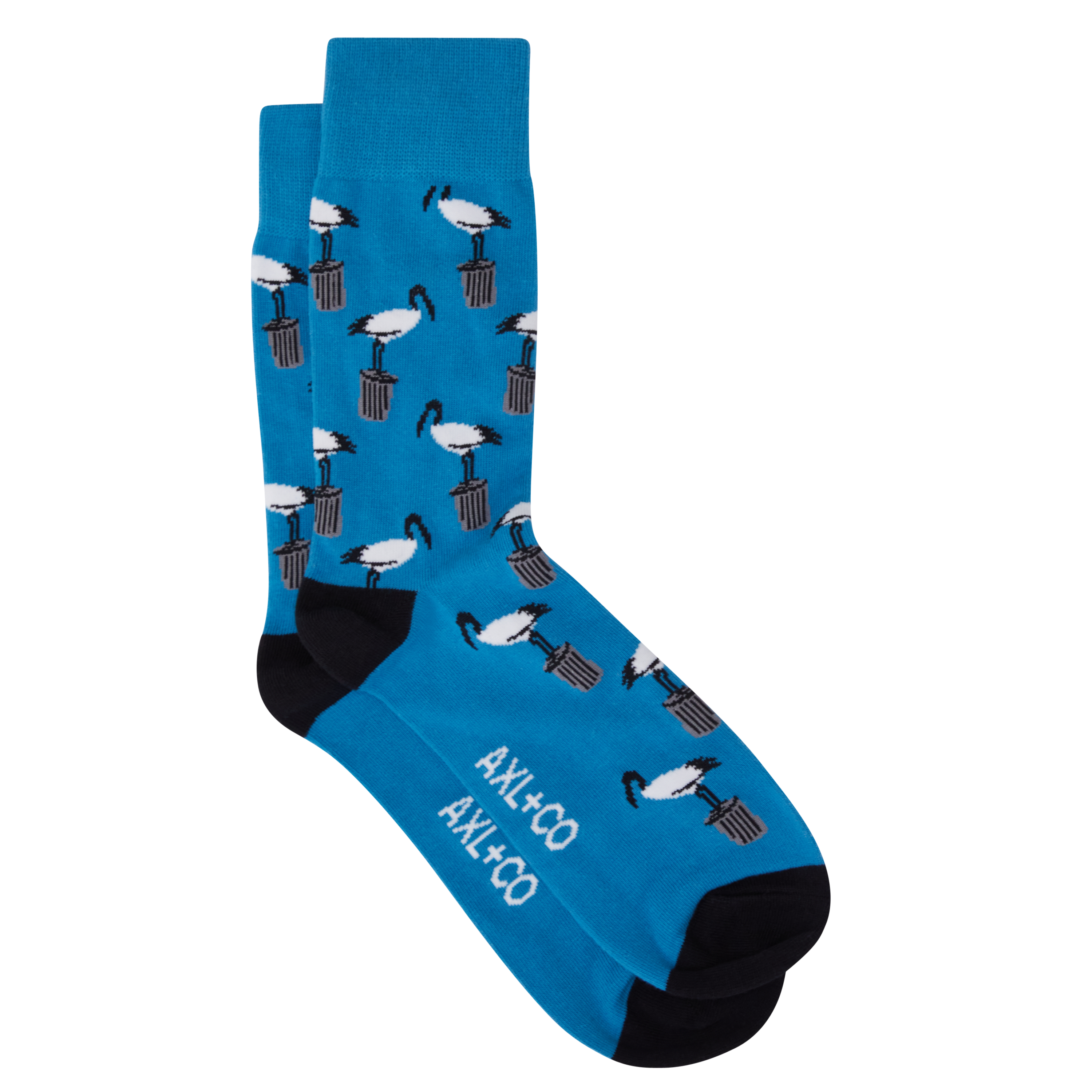 Bin Chicken Casual Socks