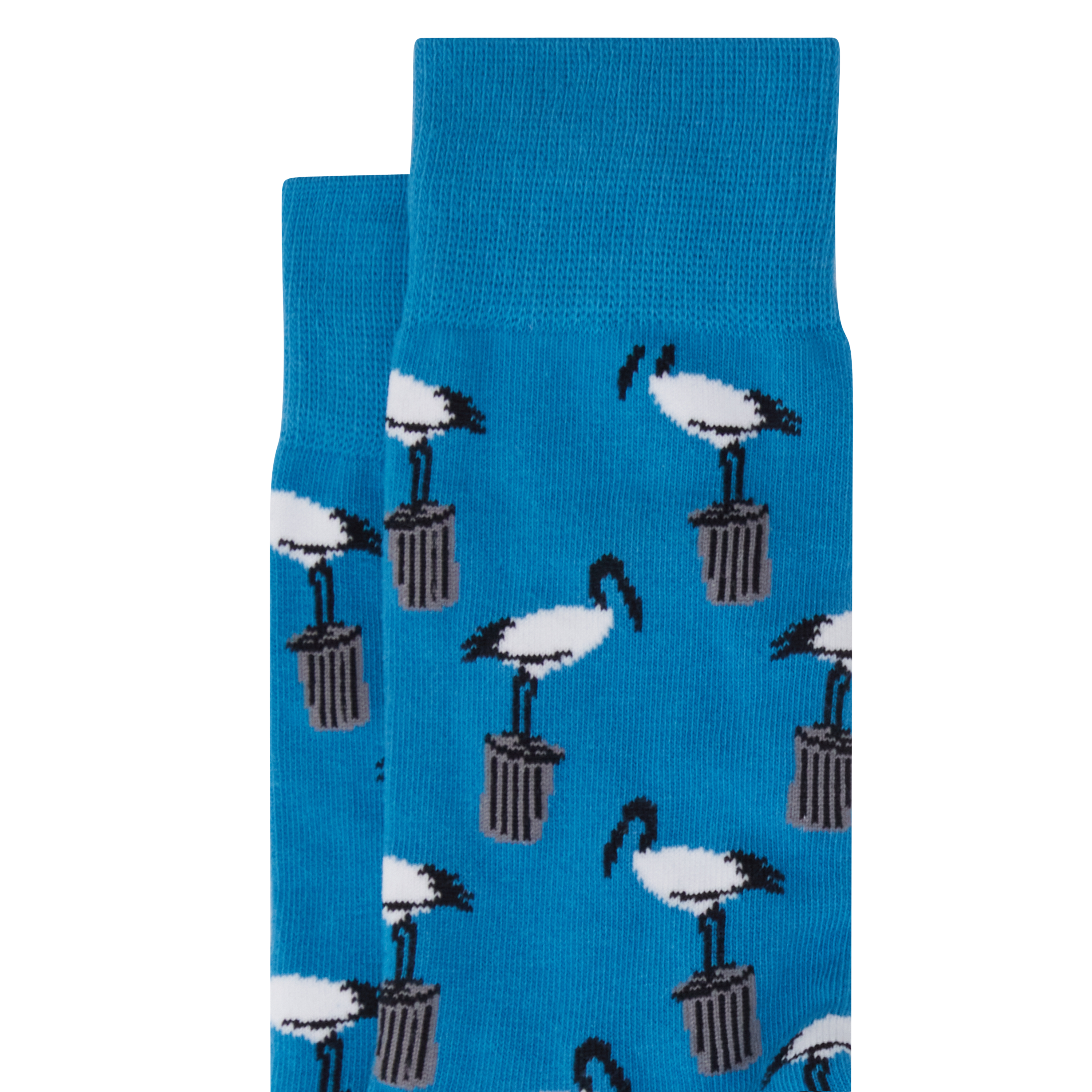 Blue Bin Chicken Casual Socks