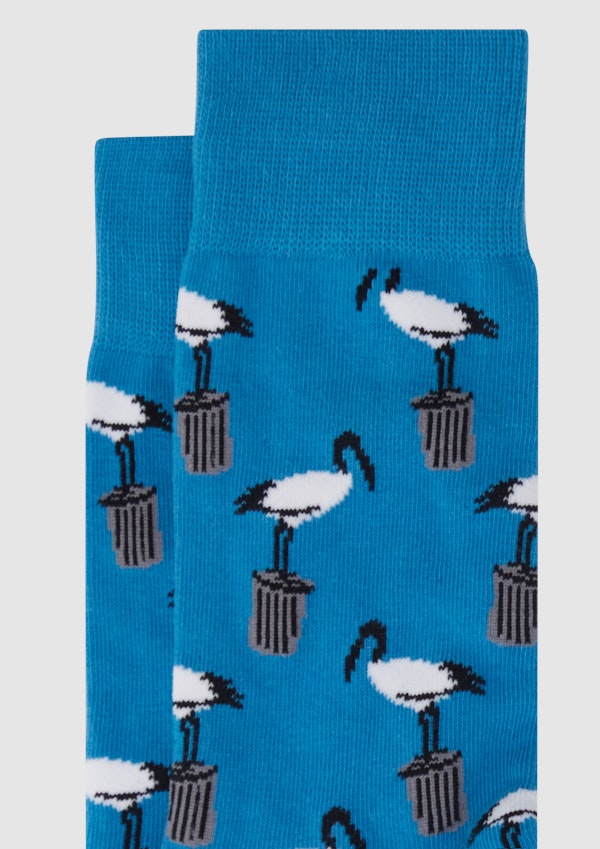Blue Bin Chicken Casual Socks