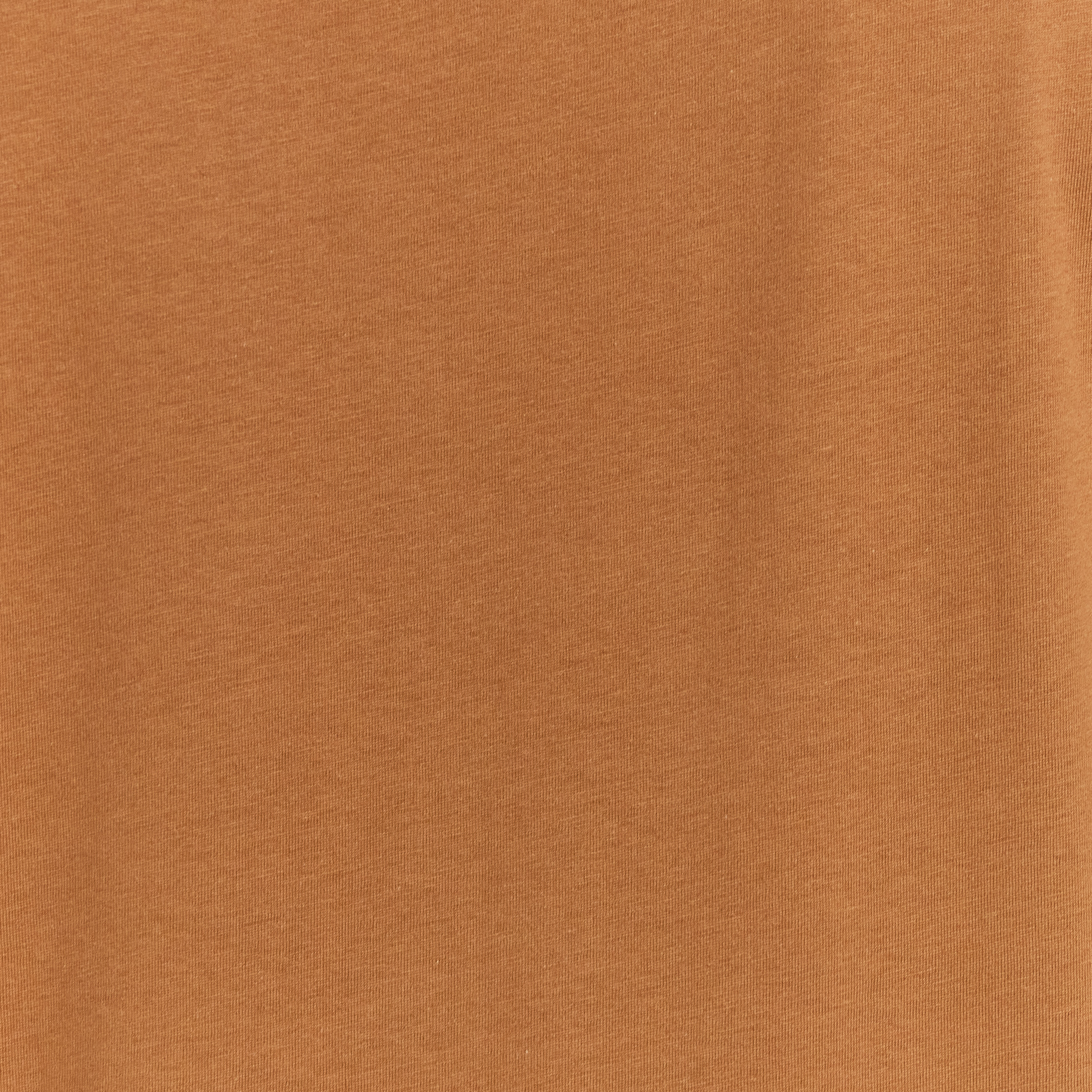 Caramel Cam Longline Crew Tee