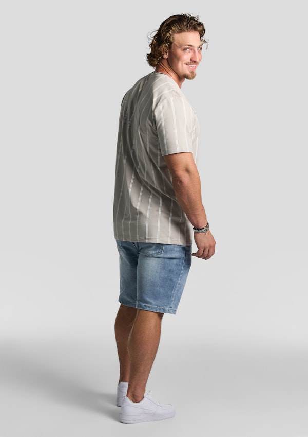 Stone Jasper Stripe Crew Tee