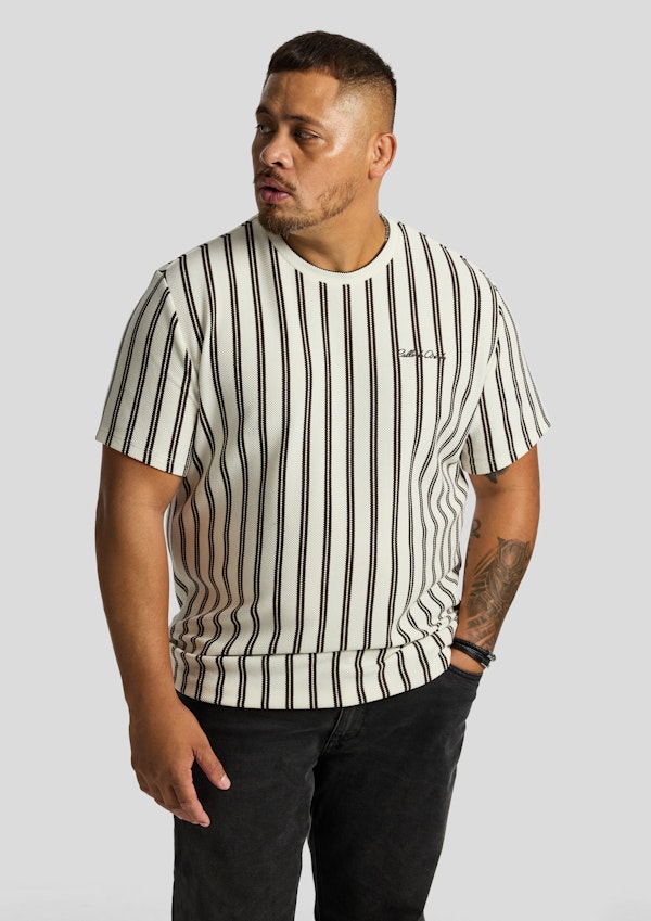 Lucan Stripe Crew Tee