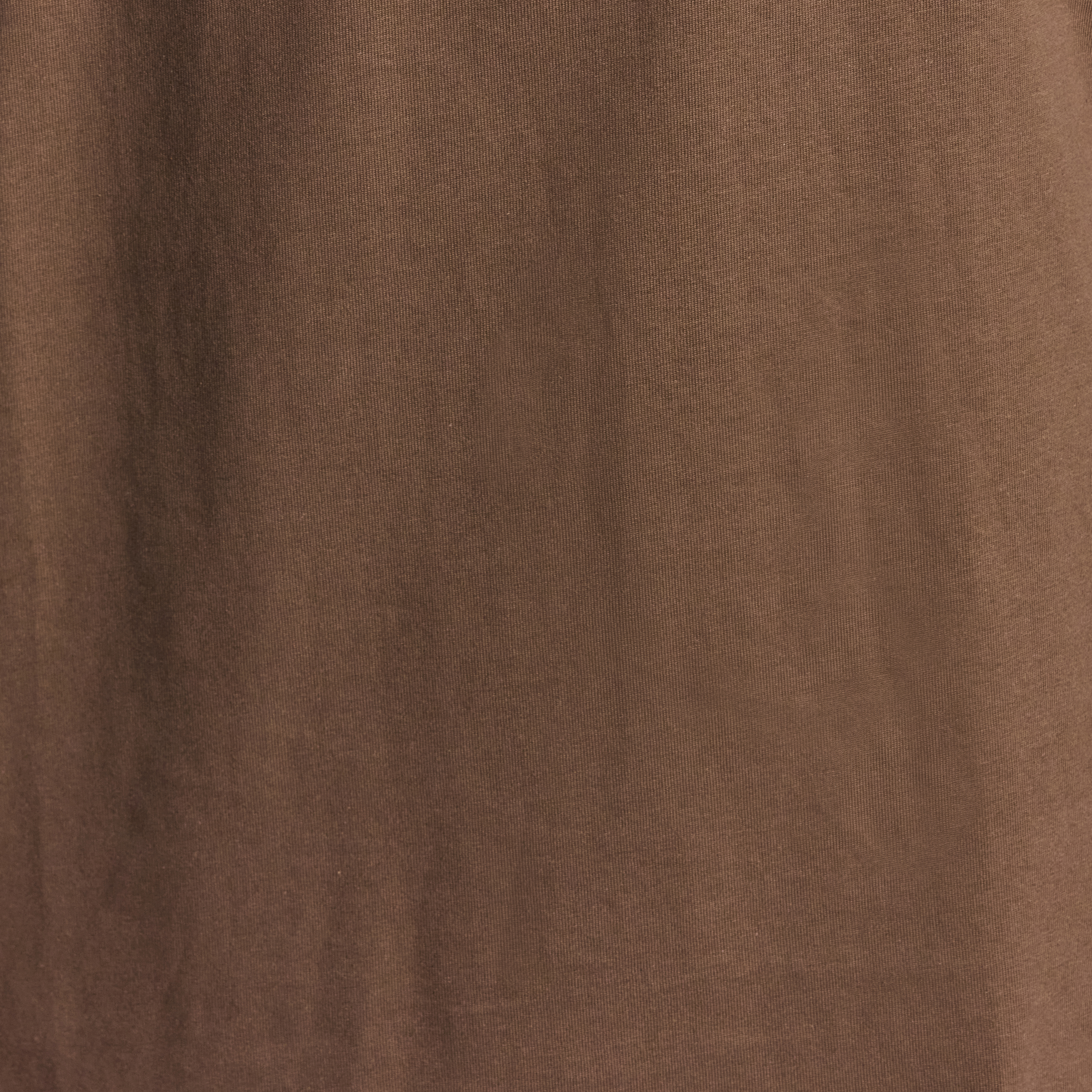 Light Brown Crest Relaxed Crew Tee